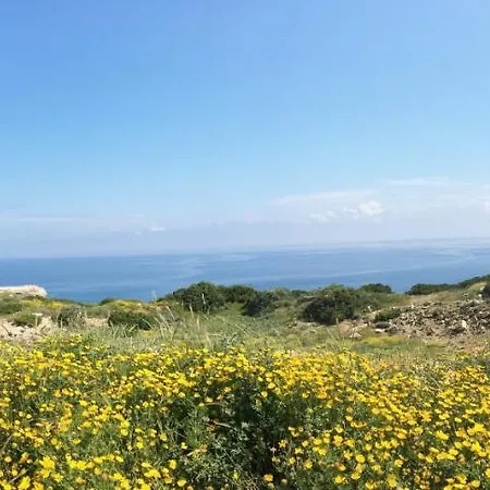 Serenity Βίλα